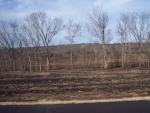 Burned Oklahoma
