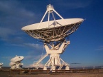 An entire dish, for your perusal.  I feel so tiny!