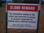 Cattle Rustlers Beware!