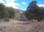 A view of the start of the trail.