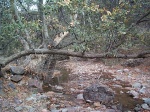 We're hiking down the stream now.