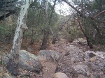Some rocks.