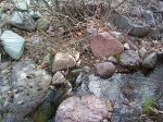 Some water and rocks on our hike.