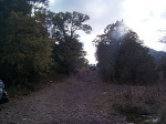 The trail out.