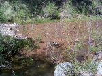 Some deeper water.