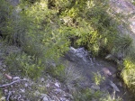 More river.