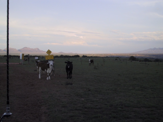 More of our friends.