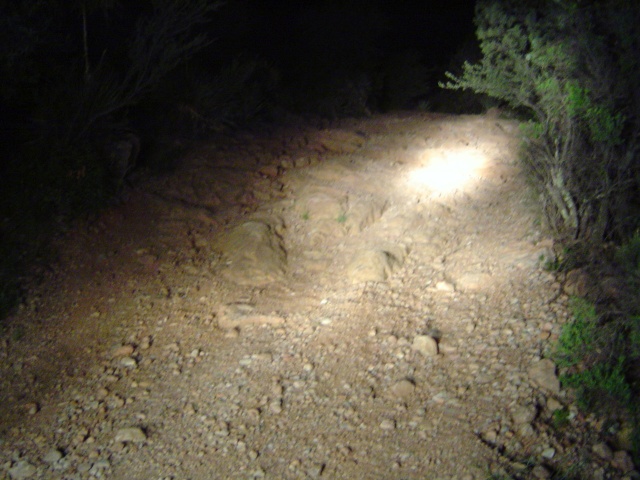 The ground, notice how much brighter than stock...