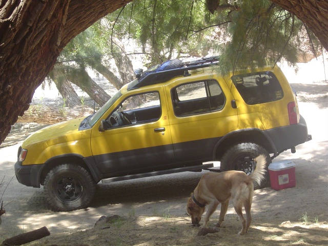 An Xterra and a doggie.