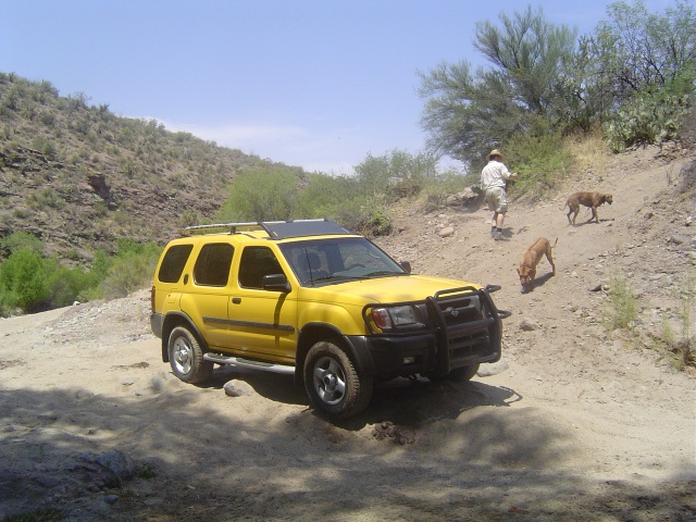 Scouting a cliff.