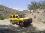 Scouting a cliff.