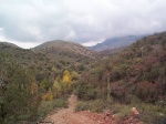 Heading towards the canyon where a while back I smashed up
my right driving lamp on a tree.