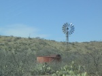 I love windmills.
