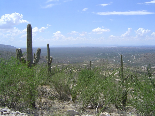 Starting up the trail, looking down at Tucson.