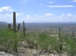 Starting up the trail, looking down at Tucson.