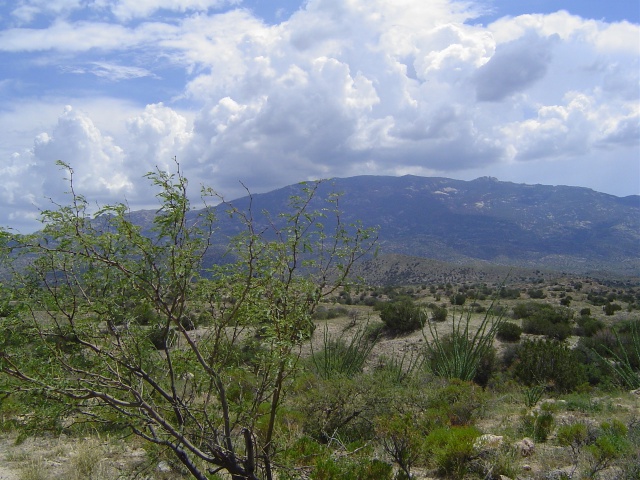 More scenery.