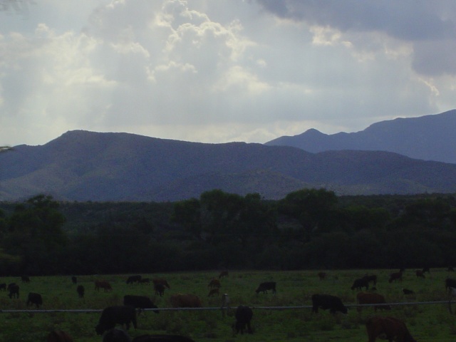 It's getting darker.  Almsot time to eat at the fabulous Benson Chute-Out Steakhouse and Saloon.  Was really good...