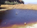 Skipping rocks in the cess pool.  Look for video later.