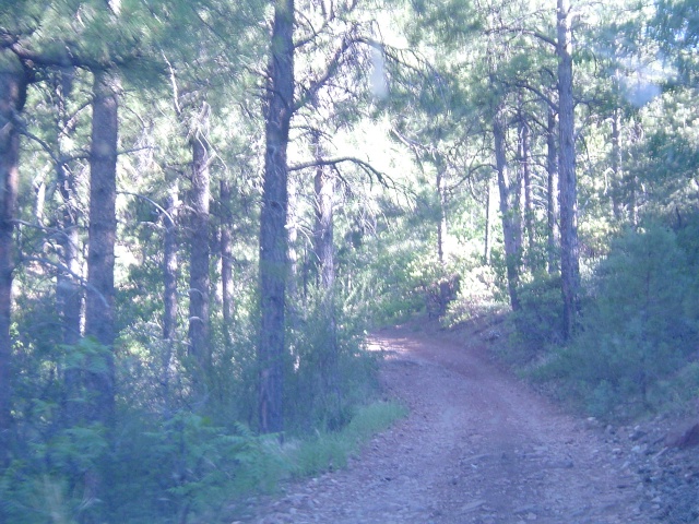 OK, the KKK dude moved on, we are on the actual trail now.