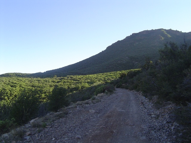 Gorgeous view just before sunset.