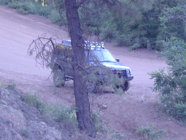 X from higher up.  Look, a tree.