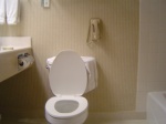 The bathroom at the Fabulous Radisson Woodlands.  Note the phone for use in a national emergency.