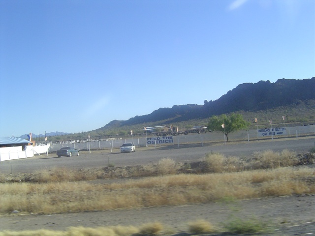 Ostritch farm.