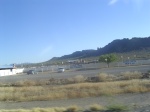 Ostritch farm.