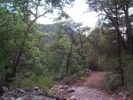 Pretty.  This is one of over a dozen DRY river crossings. :(